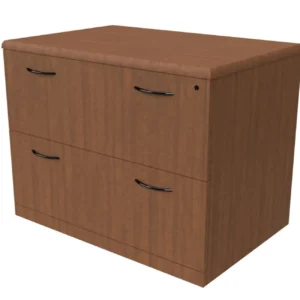 Paull Group 2-Drawer Lateral File